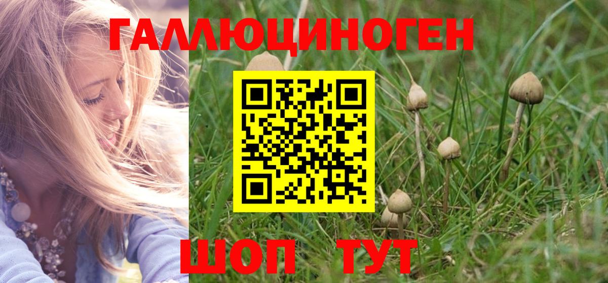 Галлюциногенные грибы Cubensis  Вход с VPN  Моздок 
